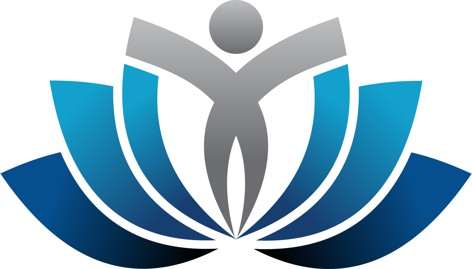 Advanced Manual Therapies